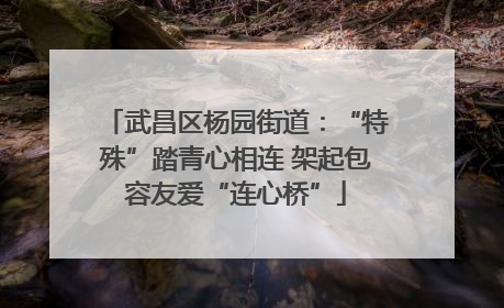 武昌区杨园街道：“特殊”踏青心相连 架起包容友爱“连心桥”