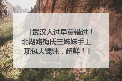 武汉人过早莫错过！北湖路梅氏三姊妹手工现包大馄饨，超鲜！