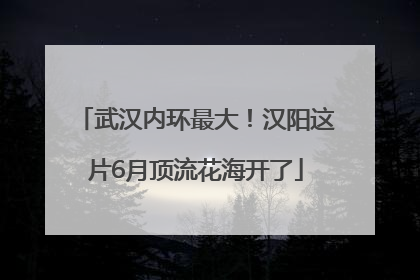 武汉内环最大！汉阳这片6月顶流花海开了