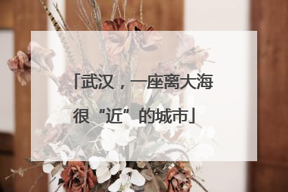 武汉，一座离大海很“近”的城市