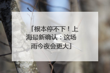 根本停不下！上海最新确认：这场雨今夜会更大