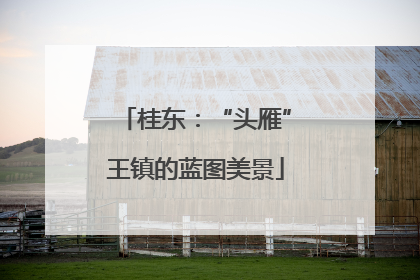 桂东：“头雁”王镇的蓝图美景