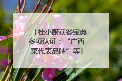 桂小厨获餐宝典多项认证：“广西菜代表品牌”等