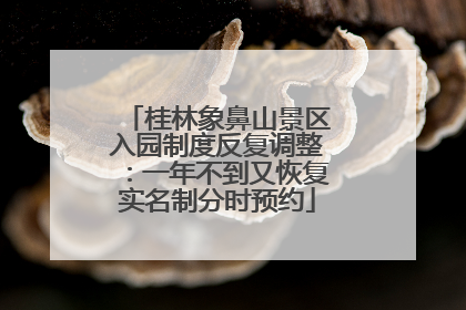 桂林象鼻山景区入园制度反复调整：一年不到又恢复实名制分时预约