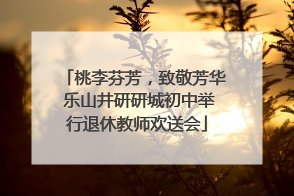 桃李芬芳，致敬芳华 乐山井研研城初中举行退休教师欢送会