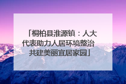 桐柏县淮源镇：人大代表助力人居环境整治 共建美丽宜居家园