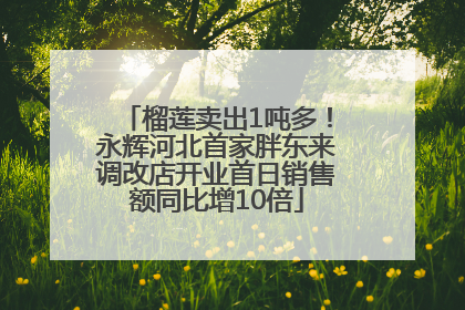 榴莲卖出1吨多！永辉河北首家胖东来调改店开业首日销售额同比增10倍