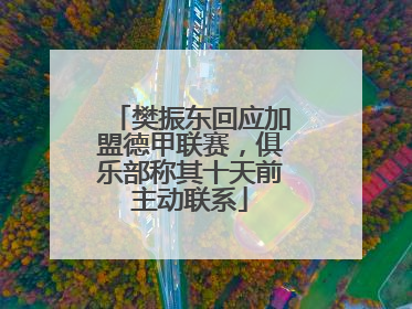樊振东回应加盟德甲联赛，俱乐部称其十天前主动联系