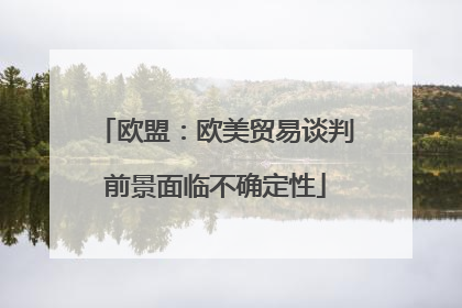 欧盟：欧美贸易谈判前景面临不确定性