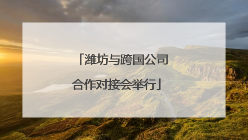 潍坊与跨国公司合作对接会举行