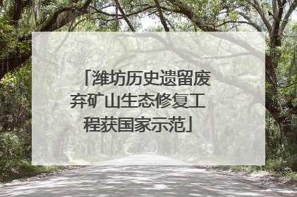 潍坊历史遗留废弃矿山生态修复工程获国家示范