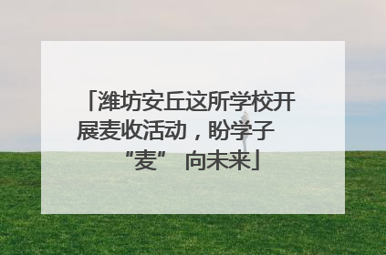 潍坊安丘这所学校开展麦收活动，盼学子 “麦” 向未来