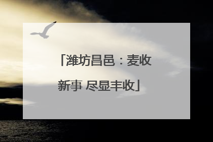 潍坊昌邑：麦收新事 尽显丰收