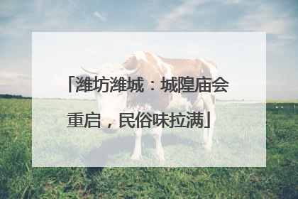 潍坊潍城：城隍庙会重启，民俗味拉满