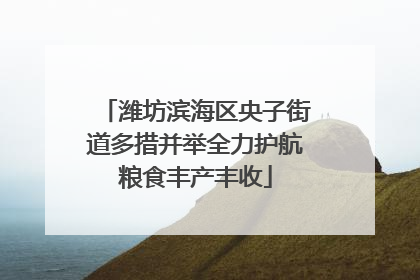 潍坊滨海区央子街道多措并举全力护航粮食丰产丰收