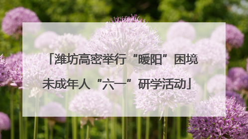 潍坊高密举行“暖阳”困境未成年人“六一”研学活动