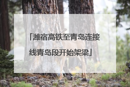 潍宿高铁至青岛连接线青岛段开始架梁