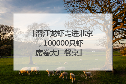 潜江龙虾走进北京，100000只虾席卷大厂餐桌