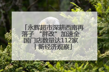 永辉超市深耕西南再落子 “胖改”加速全国门店数量达112家丨新经济观察