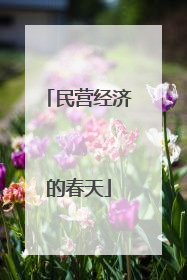 民营经济的春天