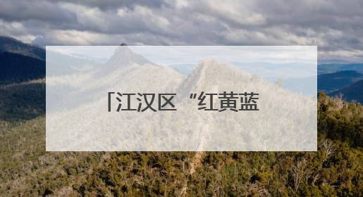 江汉区“红黄蓝”服务队上线，组团守护居民“舌尖上的安全”