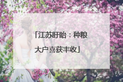 江苏盱眙：种粮大户喜获丰收