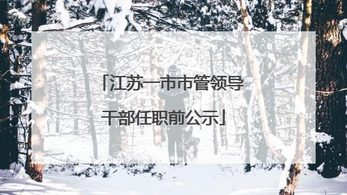 江苏一市市管领导干部任职前公示