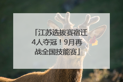 江苏选拔赛宿迁4人夺冠！9月再战全国技能赛