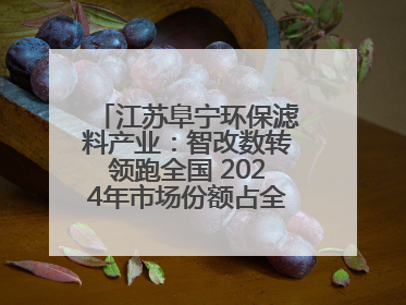 江苏阜宁环保滤料产业：智改数转领跑全国 2024年市场份额占全国三分之一