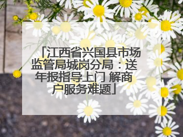 江西省兴国县市场监管局城岗分局：送年报指导上门 解商户服务难题