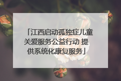 江西启动孤独症儿童关爱服务公益行动 提供系统化康复服务