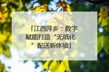江西萍乡：数字赋能打造“无纸化”配送新体验