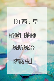 江西：早稻破口抽穗 统防统治防病虫