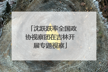 沈跃跃率全国政协视察团在吉林开展专题视察