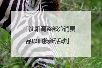 沈阳调整部分消费品以旧换新活动