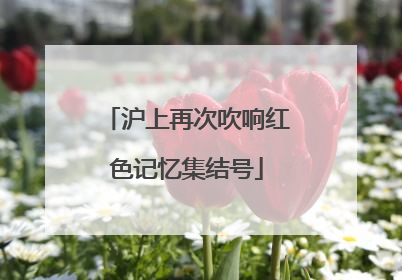 沪上再次吹响红色记忆集结号