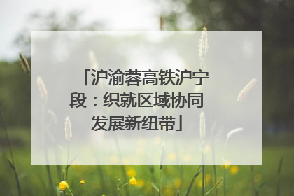 沪渝蓉高铁沪宁段：织就区域协同发展新纽带