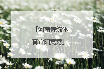河南传统体育宜阳竞秀