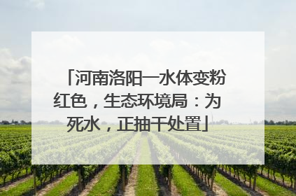 河南洛阳一水体变粉红色，生态环境局：为死水，正抽干处置