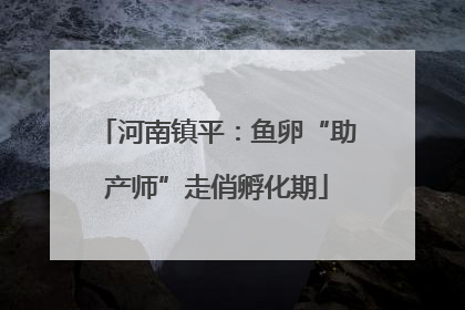 河南镇平：鱼卵“助产师”走俏孵化期