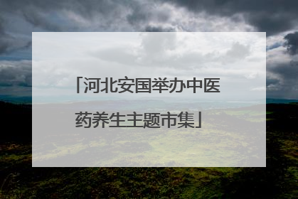 河北安国举办中医药养生主题市集
