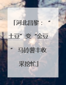河北昌黎：“土豆”变“金豆” 马铃薯丰收采挖忙