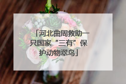 河北曲周救助一只国家“三有”保护动物翠鸟