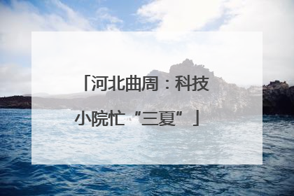 河北曲周：科技小院忙“三夏”