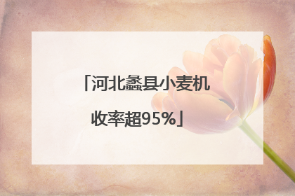 河北蠡县小麦机收率超95%