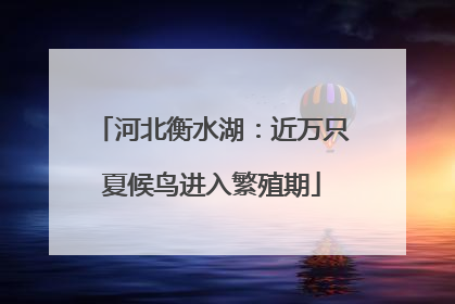 河北衡水湖：近万只夏候鸟进入繁殖期