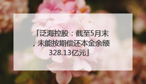 泛海控股：截至5月末，未能按期偿还本金余额328.13亿元