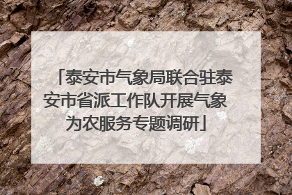 泰安市气象局联合驻泰安市省派工作队开展气象为农服务专题调研