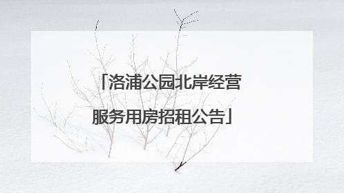 洛浦公园北岸经营服务用房招租公告