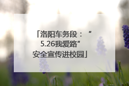 洛阳车务段：“5.26我爱路”安全宣传进校园